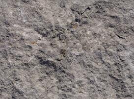 > 山体石头贴图