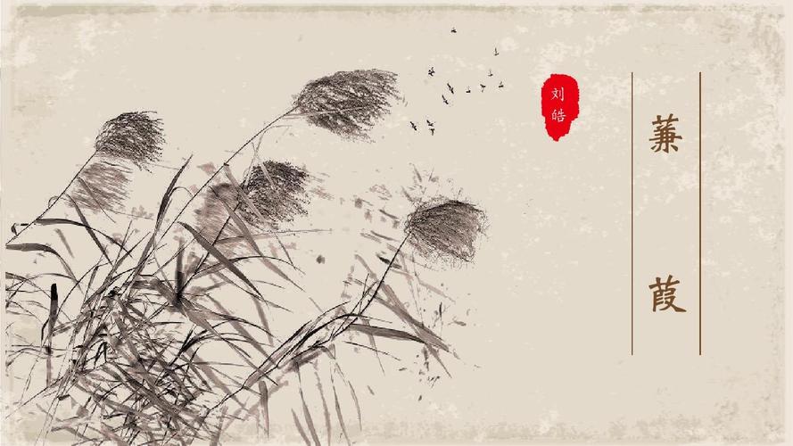 《蒹葭》统编八下2018精品课件ppt