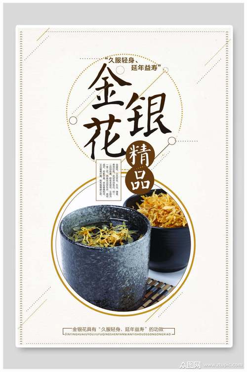 中医养生金银花精品海报