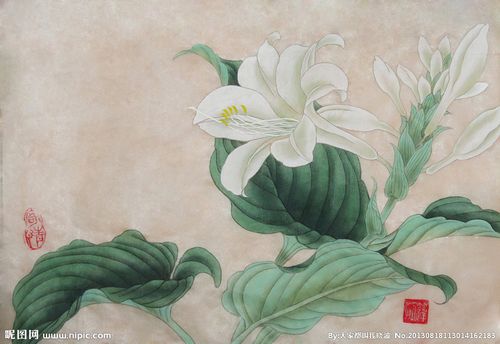 临摹田世光玉簪小品设计图__绘画书法_文化艺术_设计图库_昵图网nipic