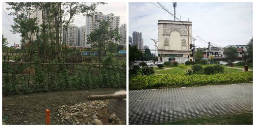 温江区金马镇推进"两拆一增" 建设一元街