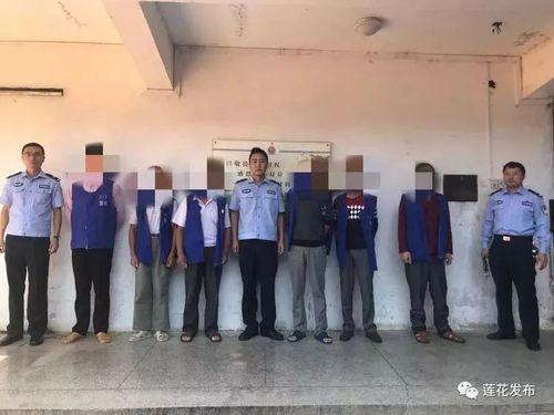 【扫黑除恶】莲花县端掉一宗族恶势力