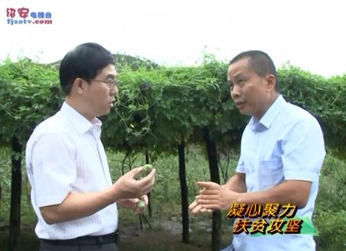 诏安市领导到诏安县调研脱贫攻坚工作