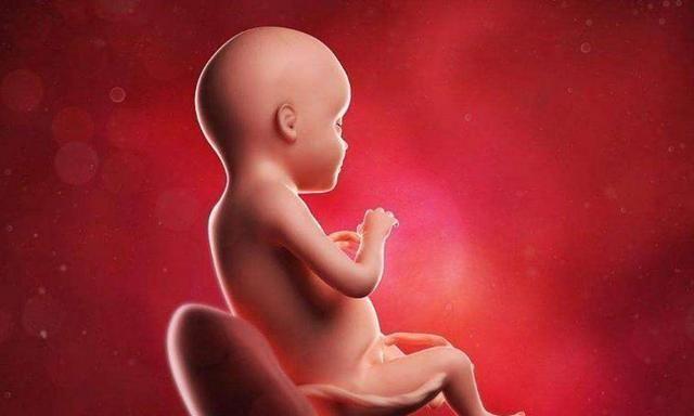 胎儿在孕妇肚子就不尿尿吗?不,胎儿也需要大小便