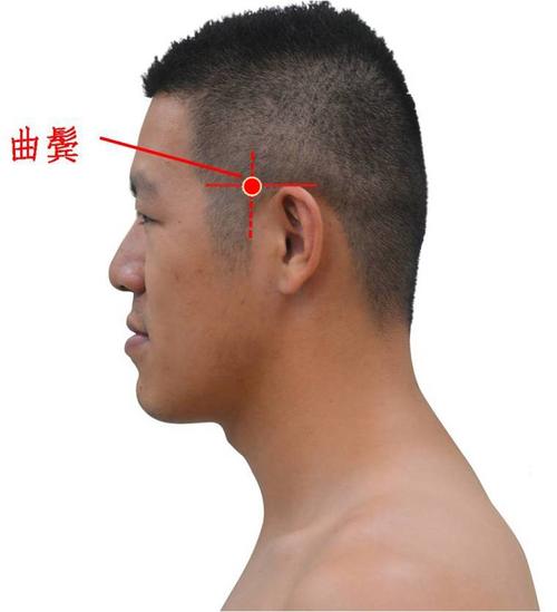 在头部,耳前鬓角发 际后缘与耳尖水平线 交点处.