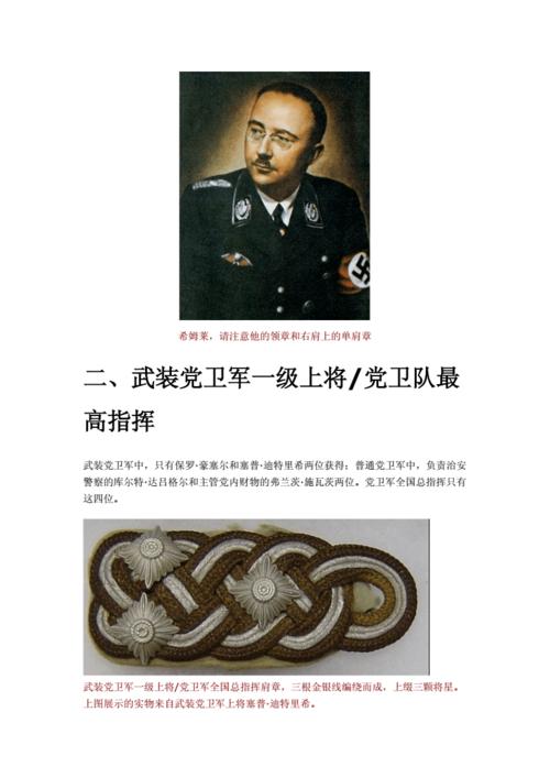 二战德国党卫军军衔标志.docx 18页