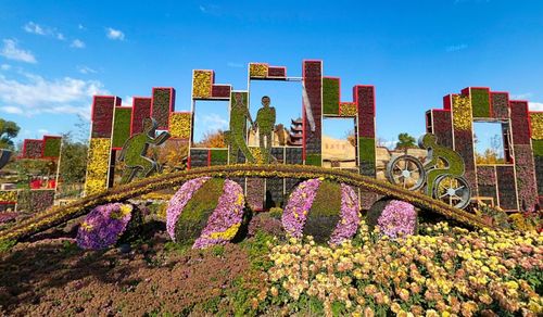 北京顺义国际鲜花港图片大全高清照片