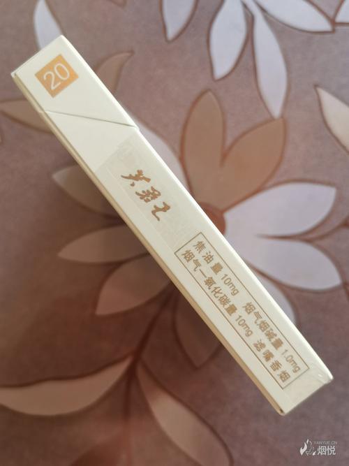 芙蓉王(王之荣耀)