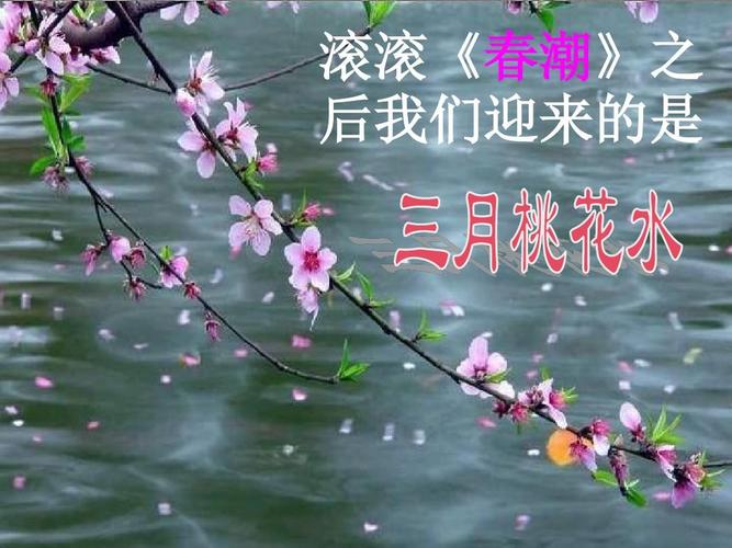 新北师大版语文第八册《三月桃花水》ppt课件3