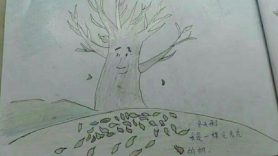 神奇的树