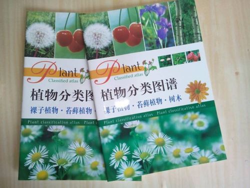 供应小学科学 植物分类图谱