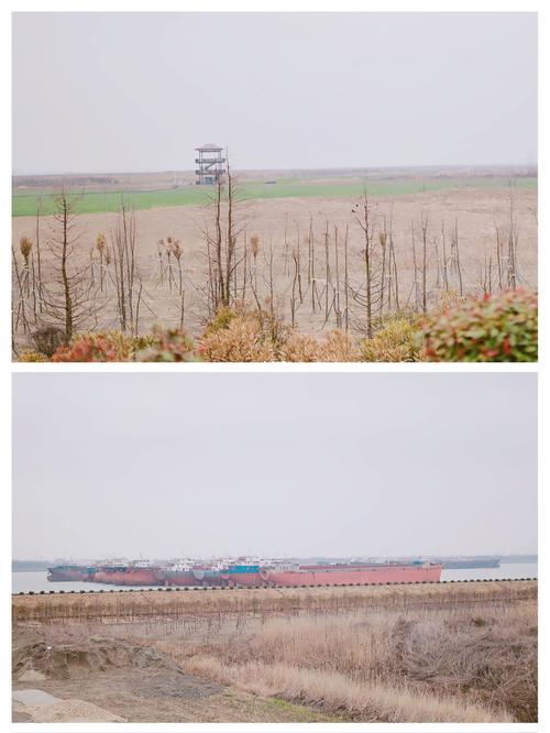 常熟市福山铁黄沙一小时游_铁黄沙生态岛攻略_蘑菇_常熟_出行_出行