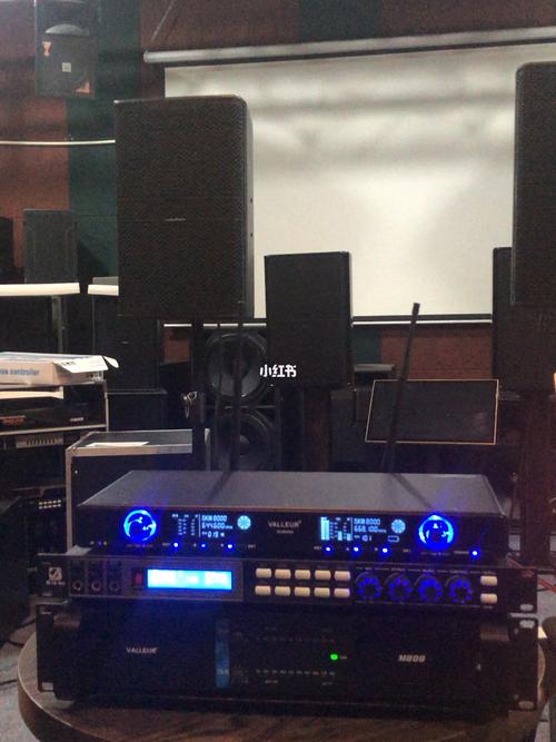 专业版ktv唱歌音响_音响_唱歌_ktv_功放_音箱_麦克风