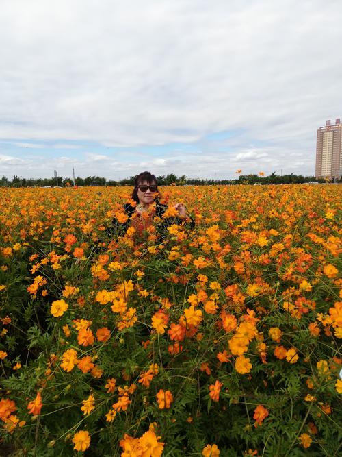 朱家小学弟五章同学聚会沈北新区花海一日游.