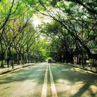 重庆工商大学