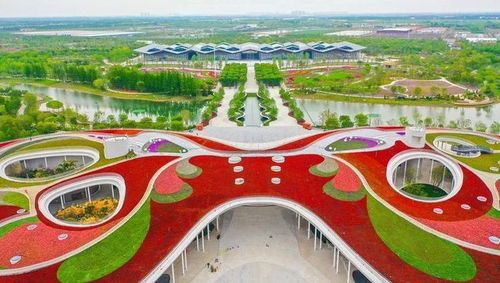 在上海崇明落下帷幕