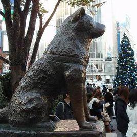 八公犬