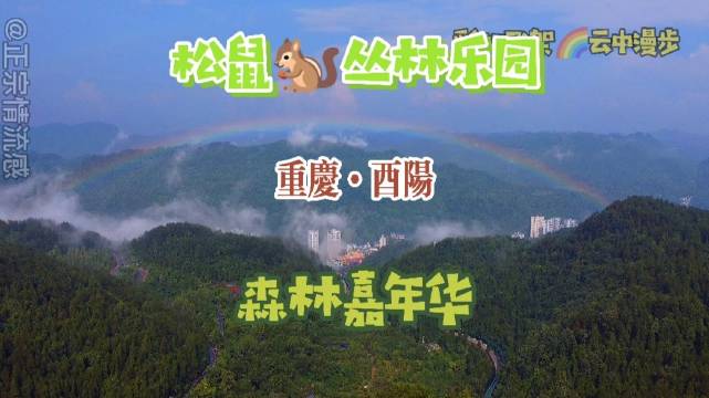 这个酷暑,带上萌娃一起去重庆酉阳松鼠丛林乐园嗨,相信一定是最"亮"的