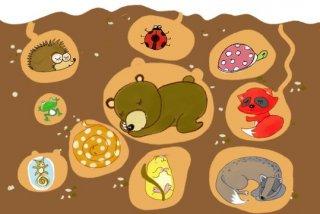 动物冬眠会不会饿?其实我从小就想知道