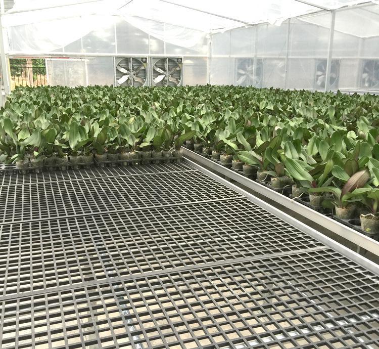 【全自动温室活动苗床】