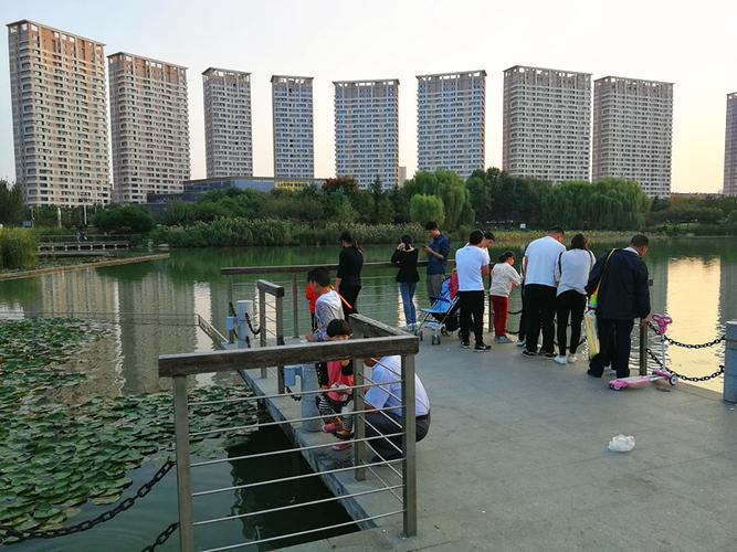 济宁 民生 任城区湿地公园的外围绿荫连连,已是深秋时节,银杏树叶已经