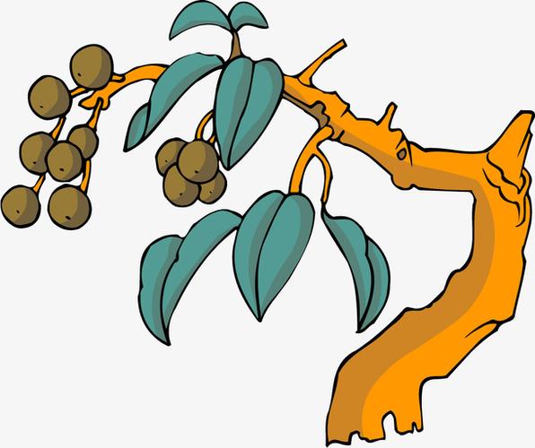 关键词 : 杏子,树,绿色,自然,杏树