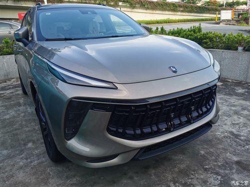 官方称之为皓月灰的车漆,有点像金色的.