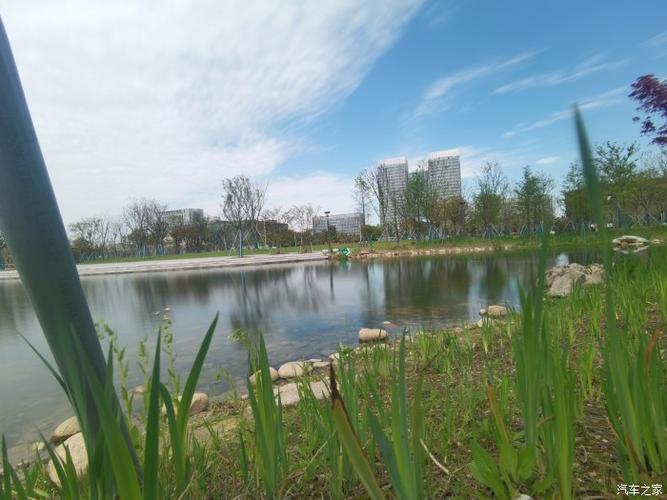 【万物复苏送福利】自驾太仓市民公园