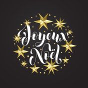 vector christmas or new year gold star and snowflake decoration