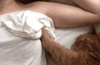 四海八荒的仙女们速来围观"大"事件:隆胸到底影响手感