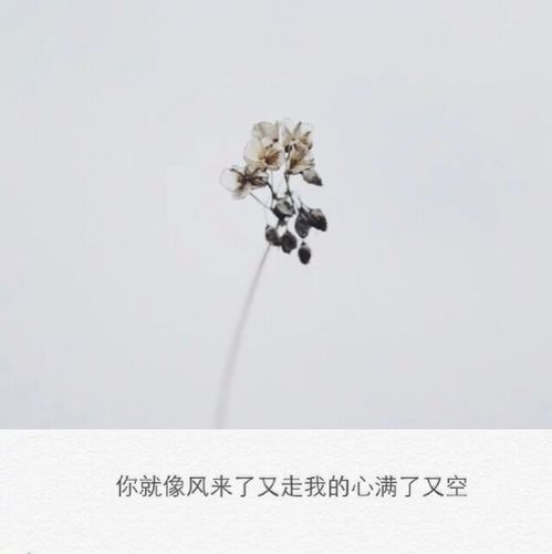 丧/ins伤感文案/图文背景/伤感文案