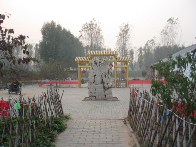 德州夏津黄河故道森林公园