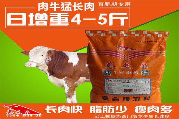 兖州育肥牛催肥饲料厂商