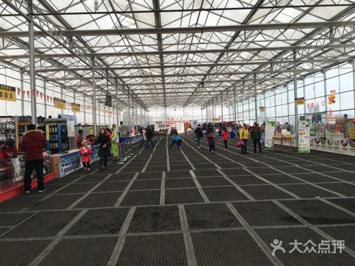 香草园滑雪场-图片-章丘周边游-大众点评网