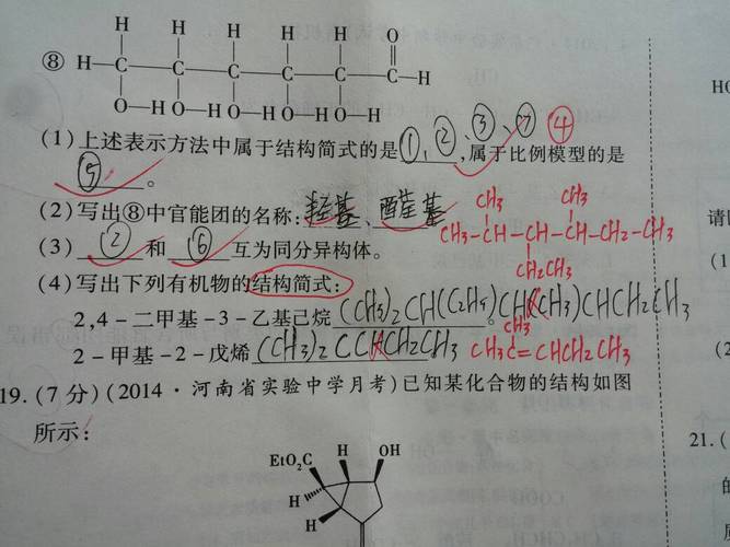 高一化学认识有机化合物,第(4)小问不是要写结构简式吗?