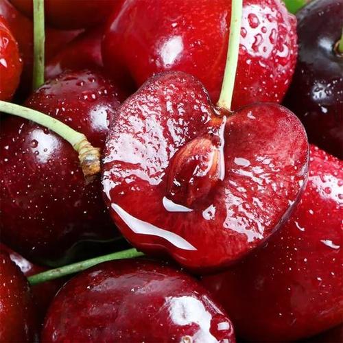 烟现摘现发山东烟台大樱桃车厘子新鲜水果美早车厘子现摘现发2斤