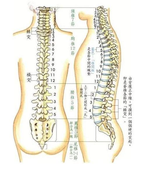 被99%的人忽视的姿势,t才是隐藏最深的健康杀手