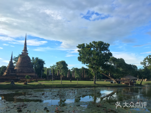 痞子张angus上传的图片