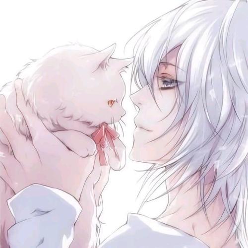 猫可爱男头