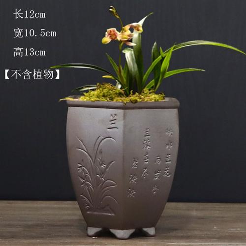 六方四方盆有孔绿植兰花套装花盆紫砂大号> 点击前往购买评价:价格