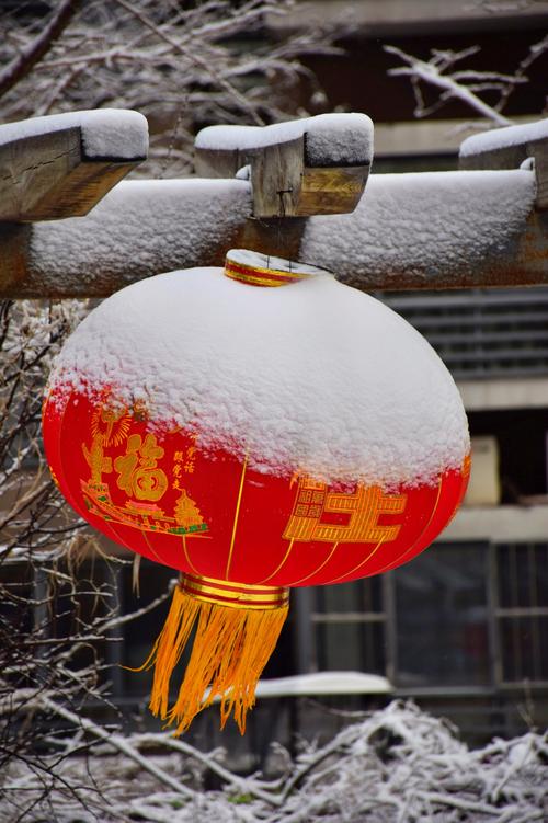 雪染红灯笼