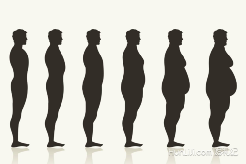 男人变胖过程