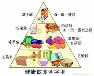 如何预防肥胖的手抄报 如何画手抄报