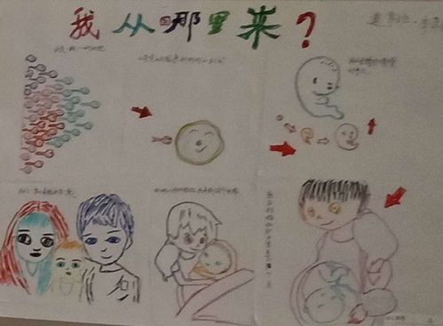 海洪幼儿园大一班课程主题活动《我从哪里来》