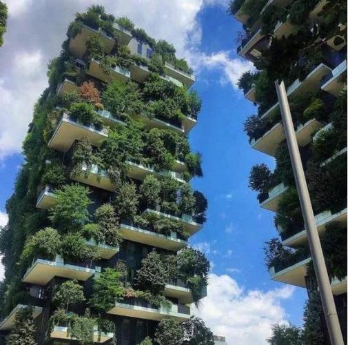 差评不断,别买空中花园阳台!"第四代住房"遭受炮轰