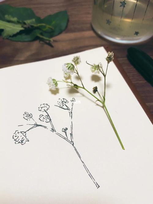 满天星_满天星_手绘_文化_绘画