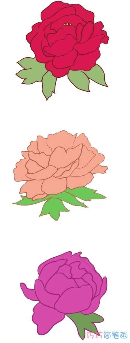 画最简单的牡丹花简笔画