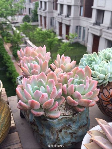 送[表情b0]灰姑娘[表情b0]回家!