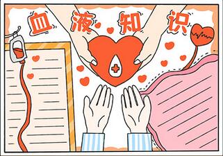 关于血液知识的手抄报 健康教育手抄报