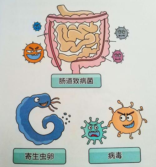主要包括肠道致病菌,寄生虫卵和病毒.